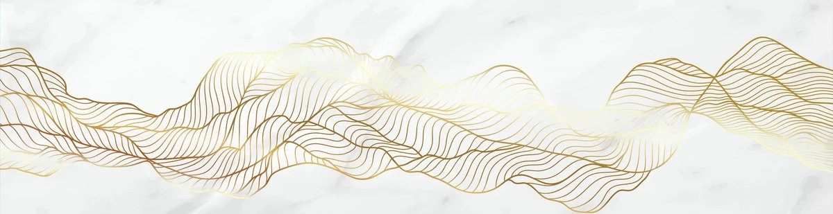 2-53329092542731-66301319807243.jpeg