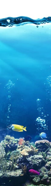 Duschrückwand - Ozeantiere - Unterwasser