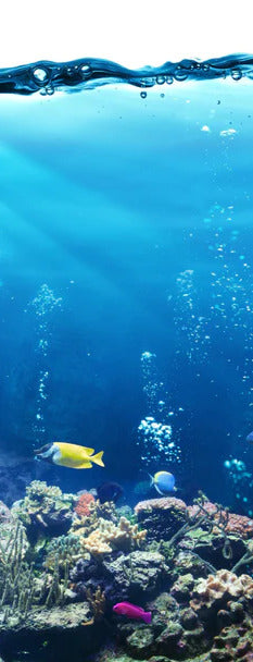 Duschrückwand - Ozeantiere - Unterwasser