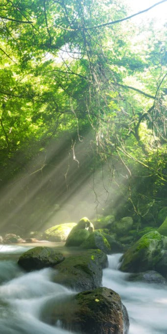 Duschrückwand - Shangrenzawa