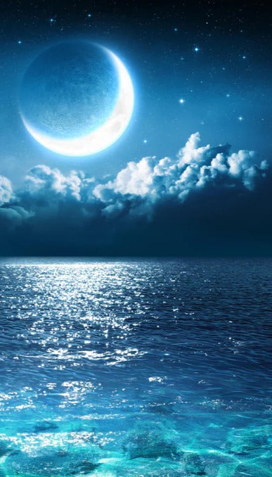 Duschrückwand - Romantischer Mond - magische Nacht