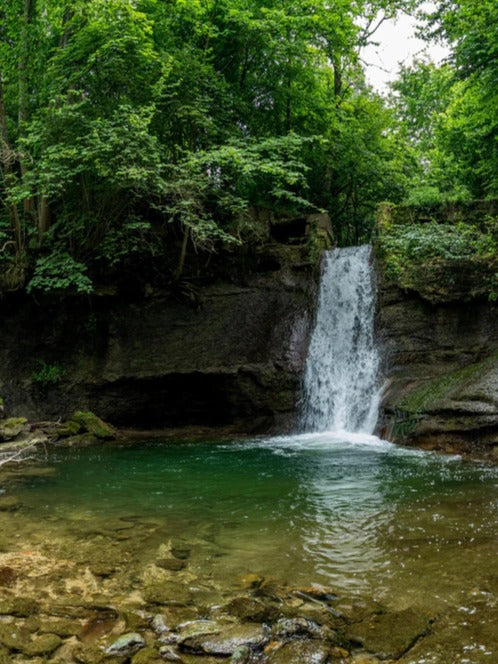 Duschrückwand - Wasserfall im Wald - Utopie