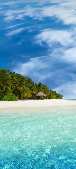 Duschrückwand - Tropische Insel mit Kokospalmen