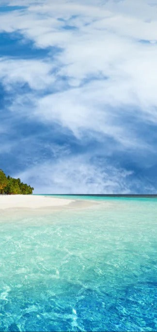 Duschrückwand - Tropische Insel mit Kokospalmen