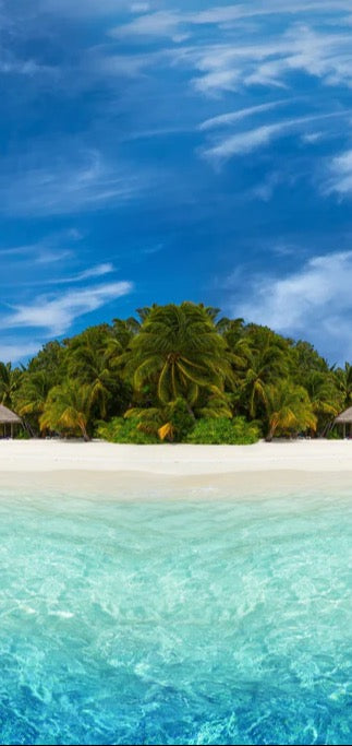 Duschrückwand - Tropische Insel mit Kokospalmen