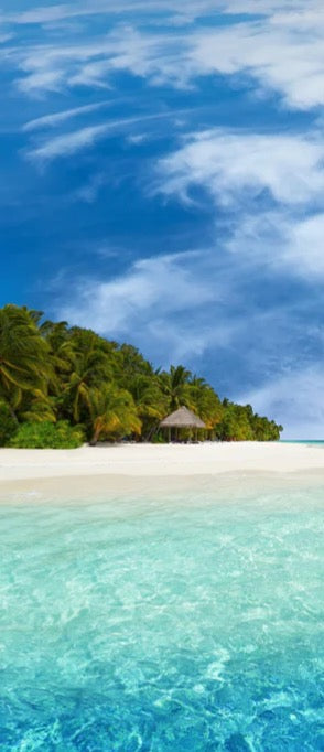 Duschrückwand - Tropische Insel mit Kokospalmen