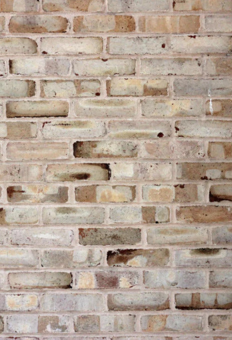 Duschrückwand - Braune verschimmelte Ziegelmauer