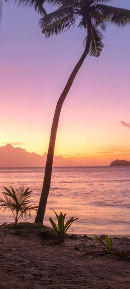 Duschrückwand - Sonnenuntergang am Strand Anse Takamaka