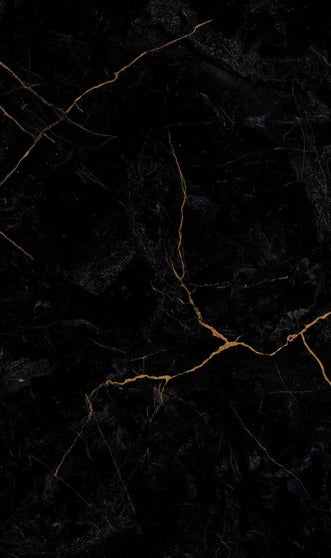 Duschrückwand - Schwarzer Marmor mit dünnen goldenen Adern