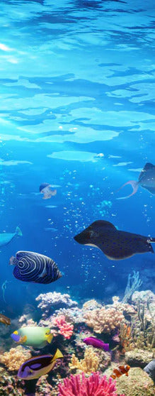 Duschrückwand - Vielfältige Unterwasserwelt