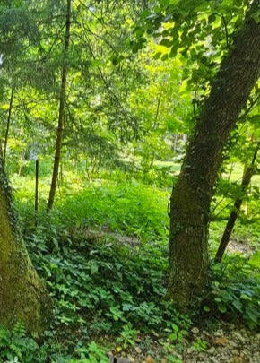 Duschrückwand - Eigenes Wunsch-Motiv