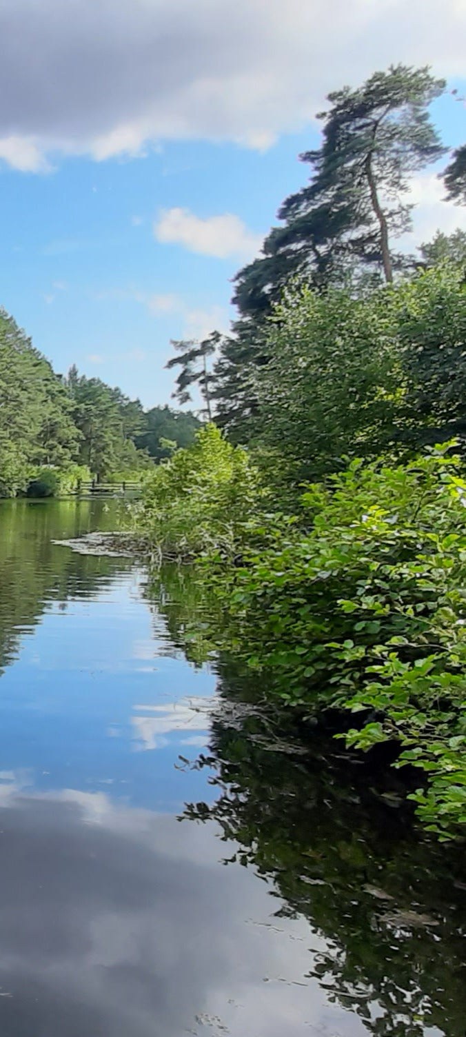 Duschrückwand - Eigenes Wunsch-Motiv