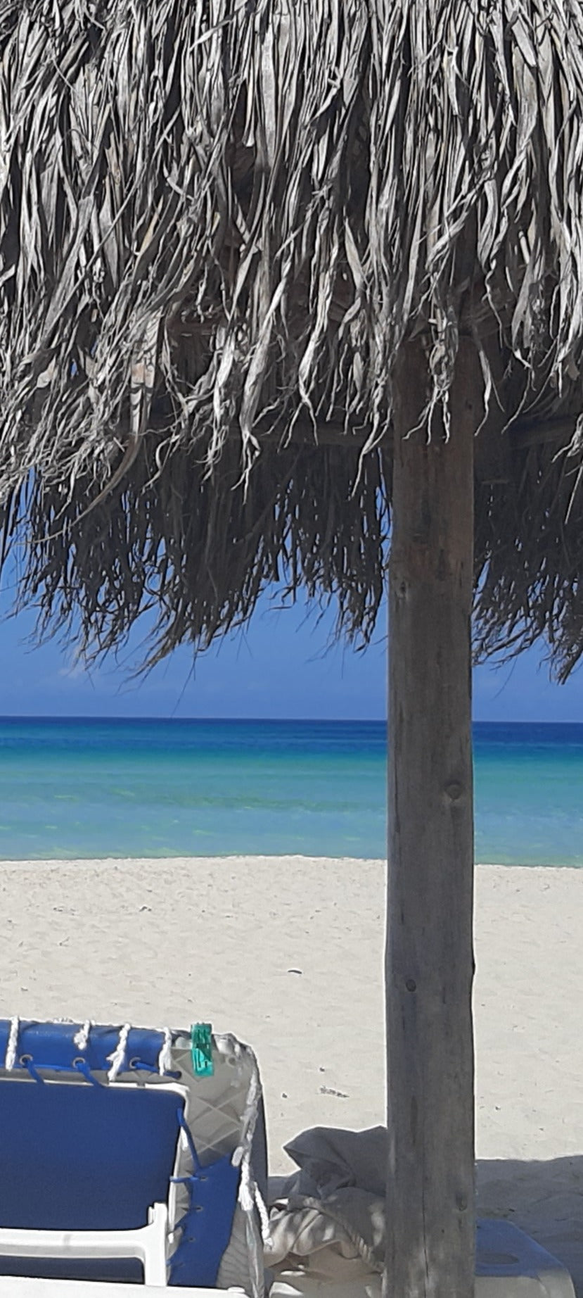 Duschrückwand - Eigenes Wunsch-Motiv