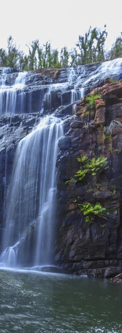 Duschrückwand - Idyllischer Wasserfall in New South Wales Australien