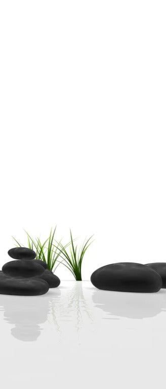 Duschrückwand - Ruhiges Steine Gefilde mit Gras und Wasser