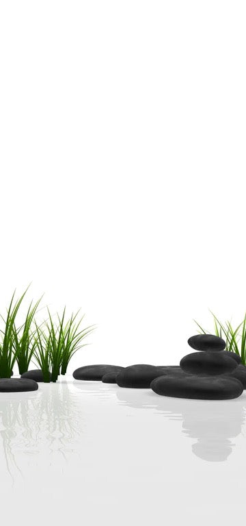 Duschrückwand - Ruhiges Steine Gefilde mit Gras und Wasser