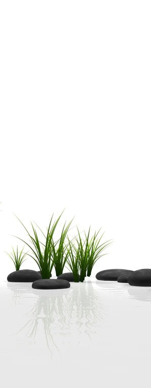 Duschrückwand - Ruhiges Steine Gefilde mit Gras und Wasser