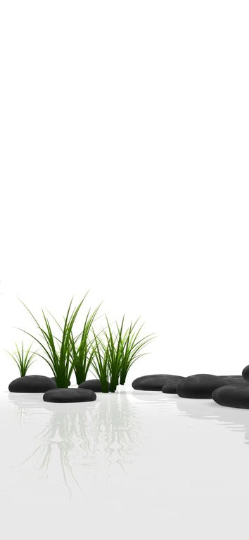 Duschrückwand - Ruhiges Steine Gefilde mit Gras und Wasser