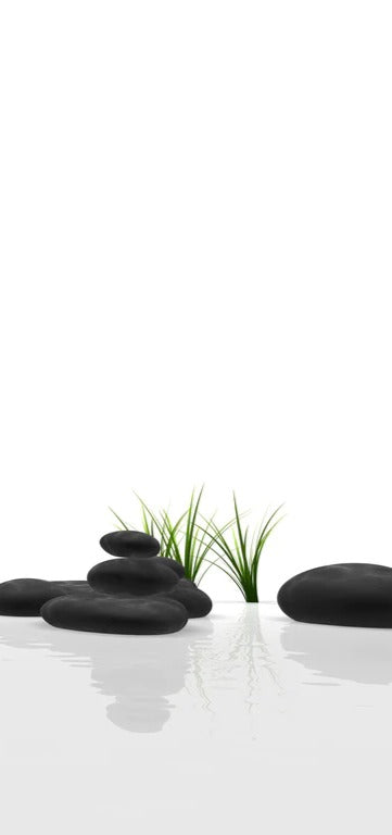 Duschrückwand - Ruhiges Steine Gefilde mit Gras und Wasser