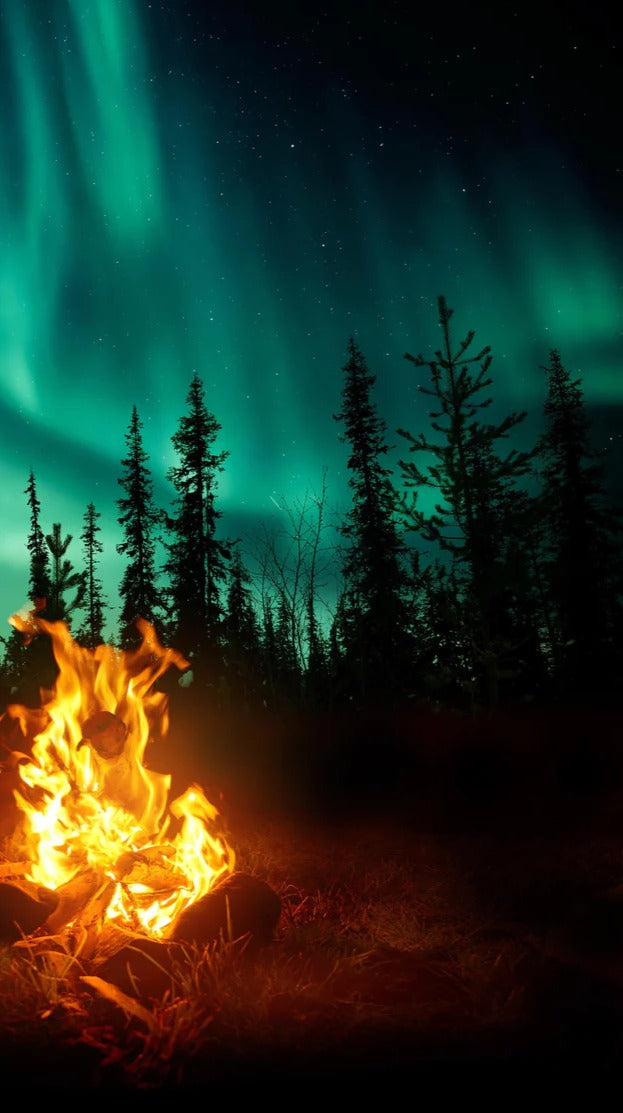 Duschrückwand - Lagerfeuer mit Nordlichtern in den Wäldern Schwedens