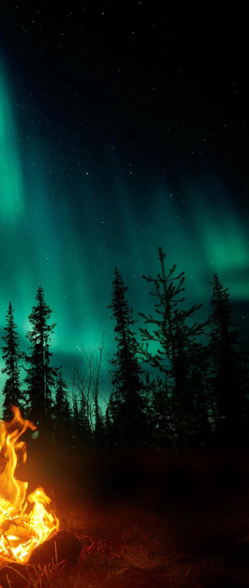 Duschrückwand - Lagerfeuer mit Nordlichtern in den Wäldern Schwedens