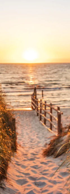 Duschrückwand - Dünen am Strand an der Nordsee bei Sonnenuntergang