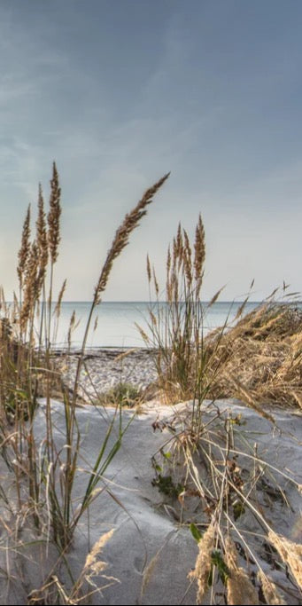 Duschrückwand - Friedlicher Ausblick an der Ostseeküste