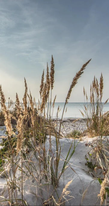 Duschrückwand - Friedlicher Ausblick an der Ostseeküste
