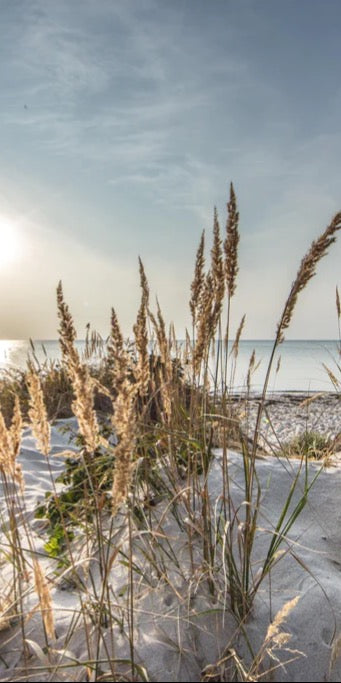 Duschrückwand - Friedlicher Ausblick an der Ostseeküste