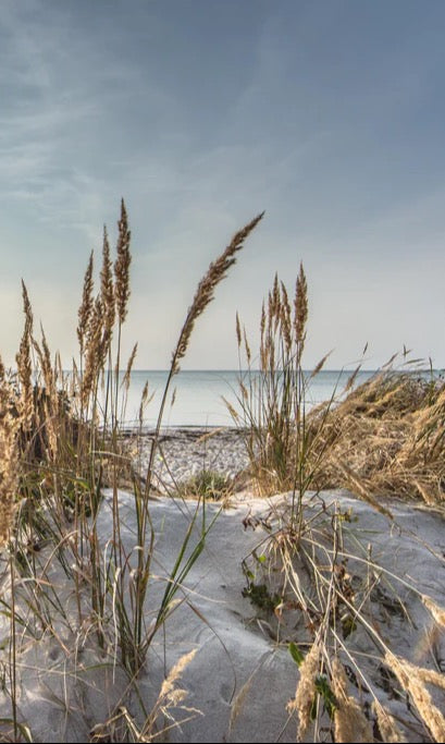 Duschrückwand - Friedlicher Ausblick an der Ostseeküste
