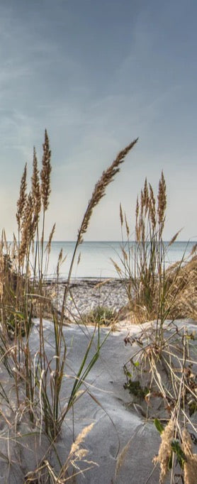 Duschrückwand - Friedlicher Ausblick an der Ostseeküste