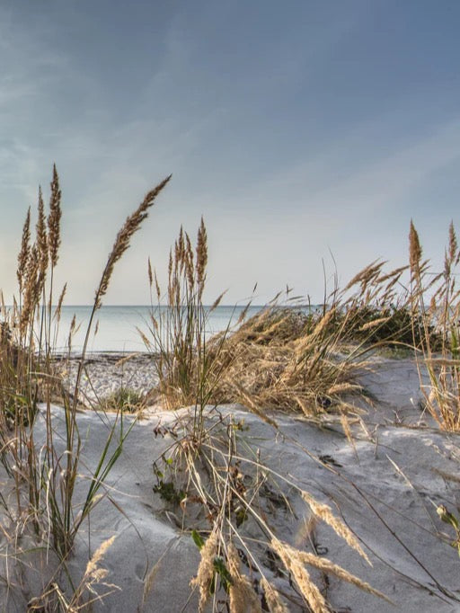 Duschrückwand - Friedlicher Ausblick an der Ostseeküste