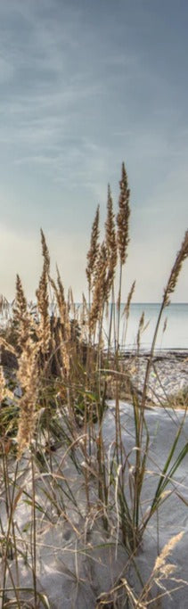 Duschrückwand - Friedlicher Ausblick an der Ostseeküste