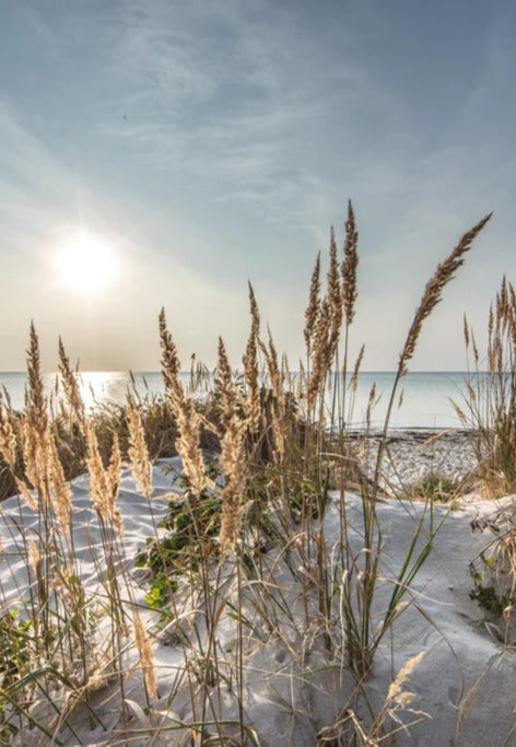 Duschrückwand - Friedlicher Ausblick an der Ostseeküste
