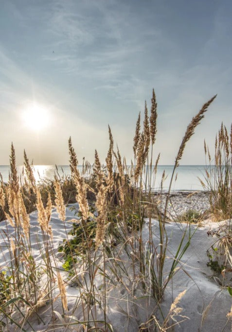 Duschrückwand - Friedlicher Ausblick an der Ostseeküste