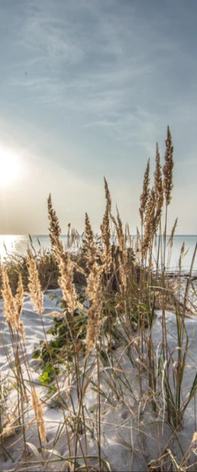 Duschrückwand - Friedlicher Ausblick an der Ostseeküste