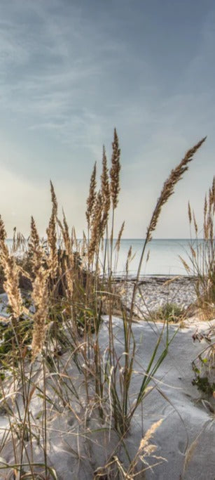 Duschrückwand - Friedlicher Ausblick an der Ostseeküste