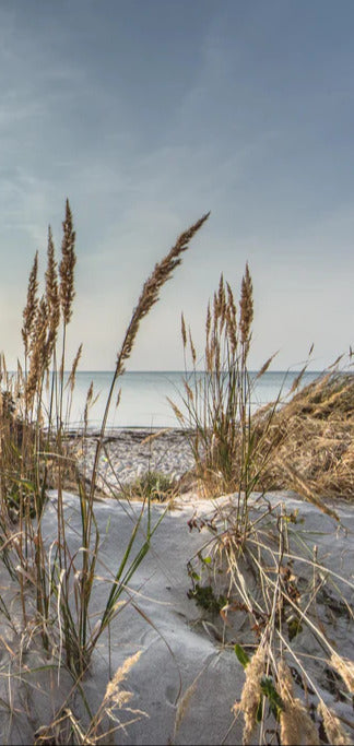 Duschrückwand - Friedlicher Ausblick an der Ostseeküste