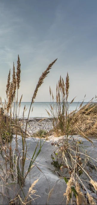 Duschrückwand - Friedlicher Ausblick an der Ostseeküste