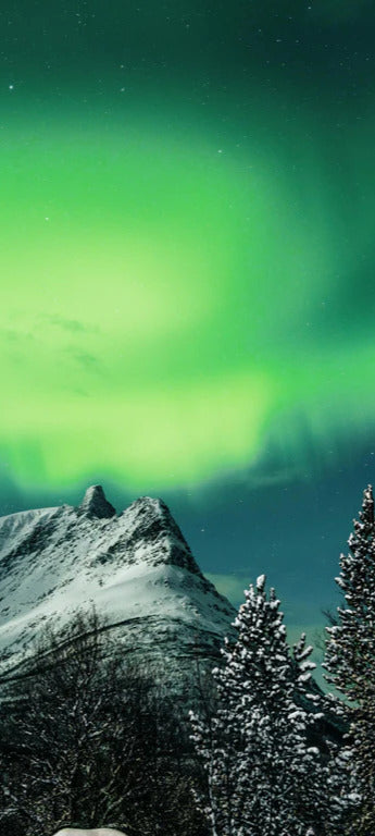 Duschrückwand - Polarlichter über Berg in Nordnorwegen