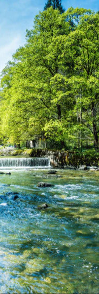 Duschrückwand - Sonnige Flusslandschaft in der Schweiz