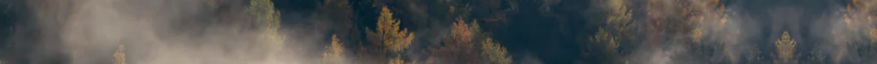 3-52017527357707-46221961134347.png