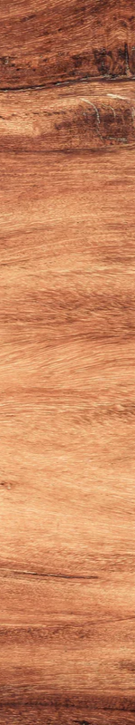 3-52686188544267-46378864378123.png