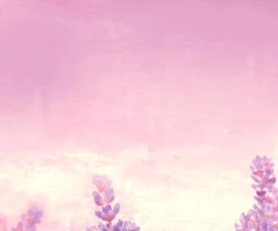 3-52723520995595-60776012546315.png