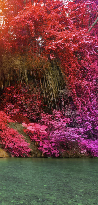 3-52811074404619-46338630156555.png