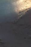 3-52878695629067-48382292295947.png