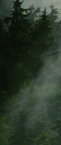 3-52882500223243-50812216344843.png