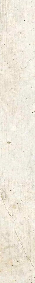 3-53033514270987-66088662696203.jpeg