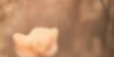 3-53186161180939-44325476761867.jpeg