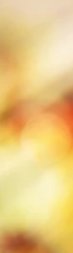 3-53313451032843-44325987647755.jpeg